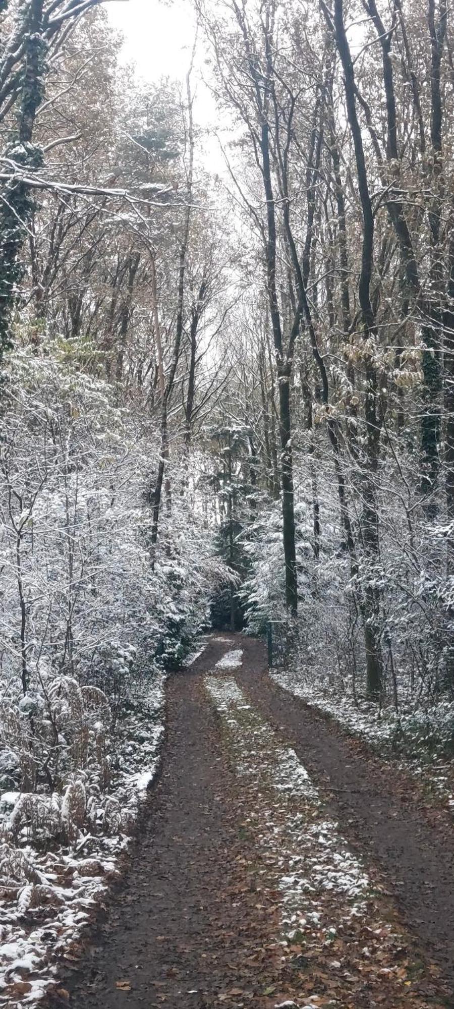 'T Boshuisje Opglabbeek Luaran gambar